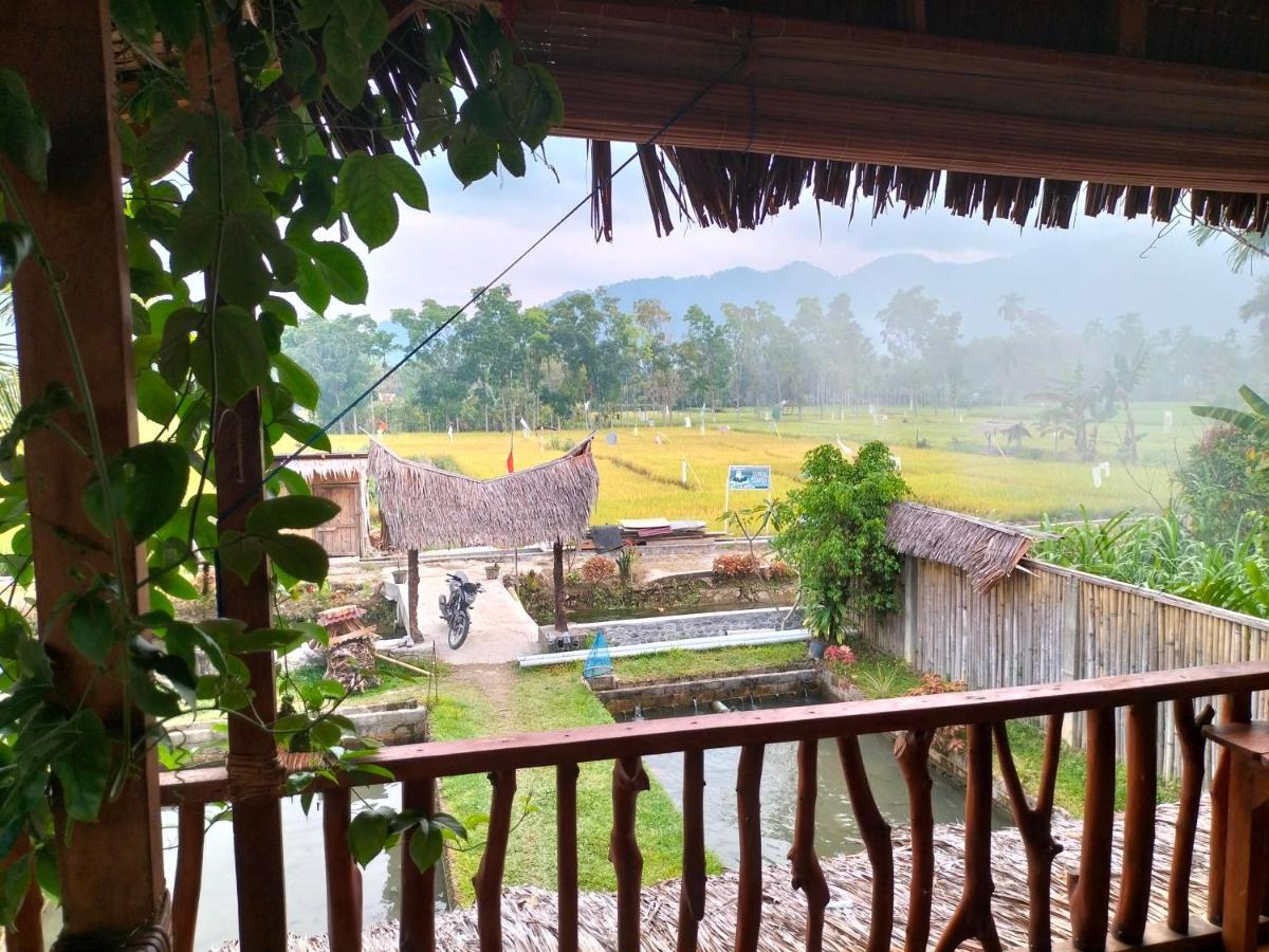 Sumatra Expedition Lodge Bukit Lawang Esterno foto