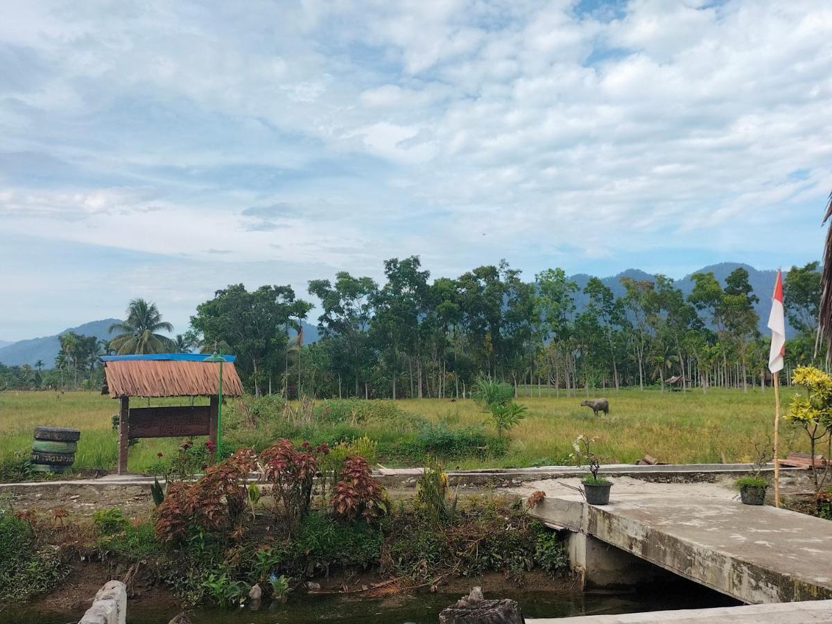 Sumatra Expedition Lodge Bukit Lawang Esterno foto