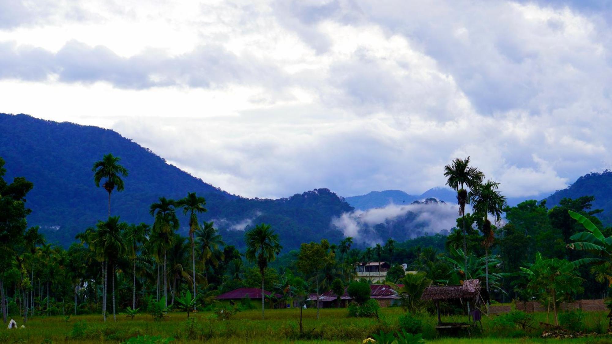 Sumatra Expedition Lodge Bukit Lawang Esterno foto