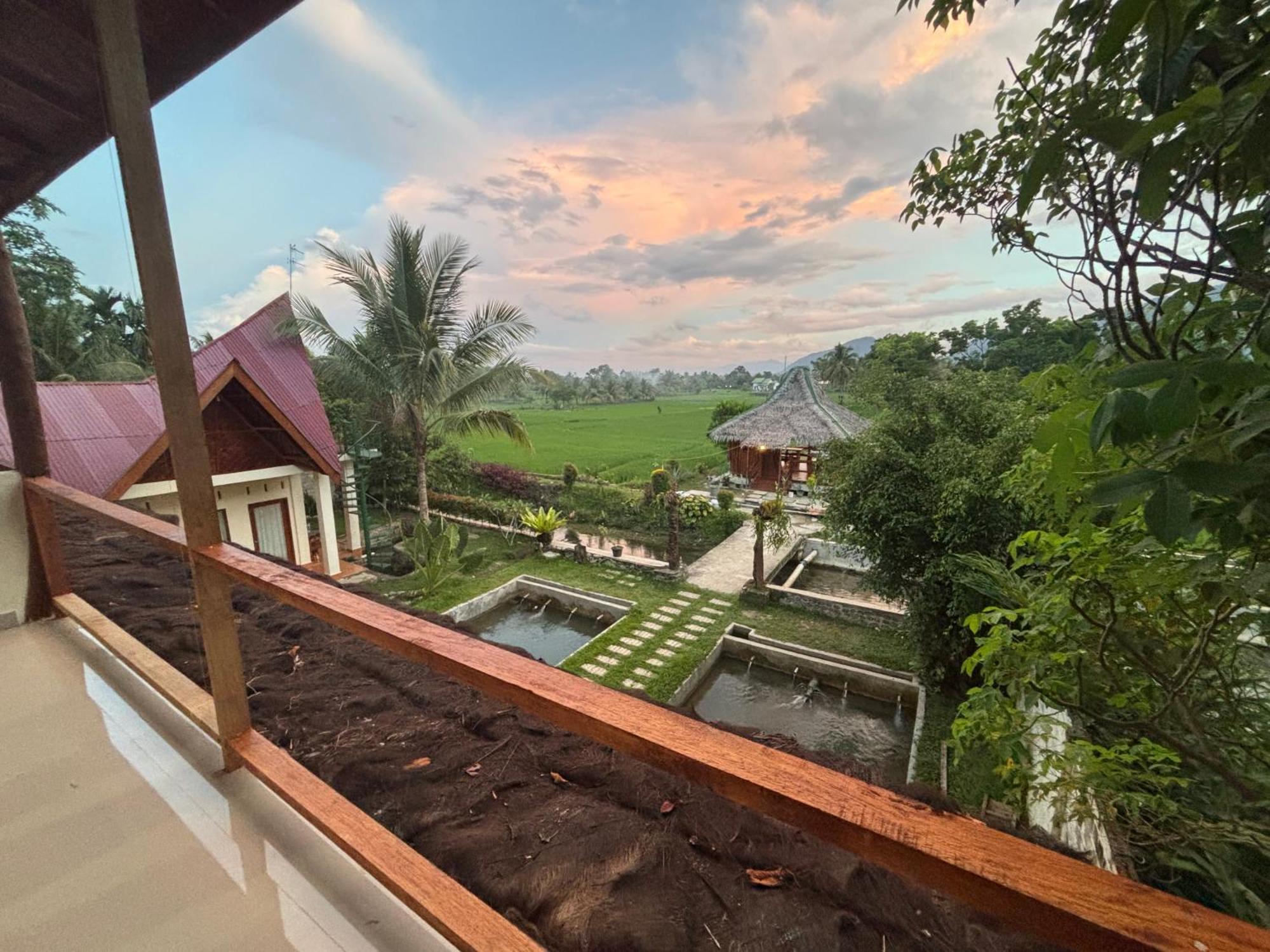 Sumatra Expedition Lodge Bukit Lawang Esterno foto