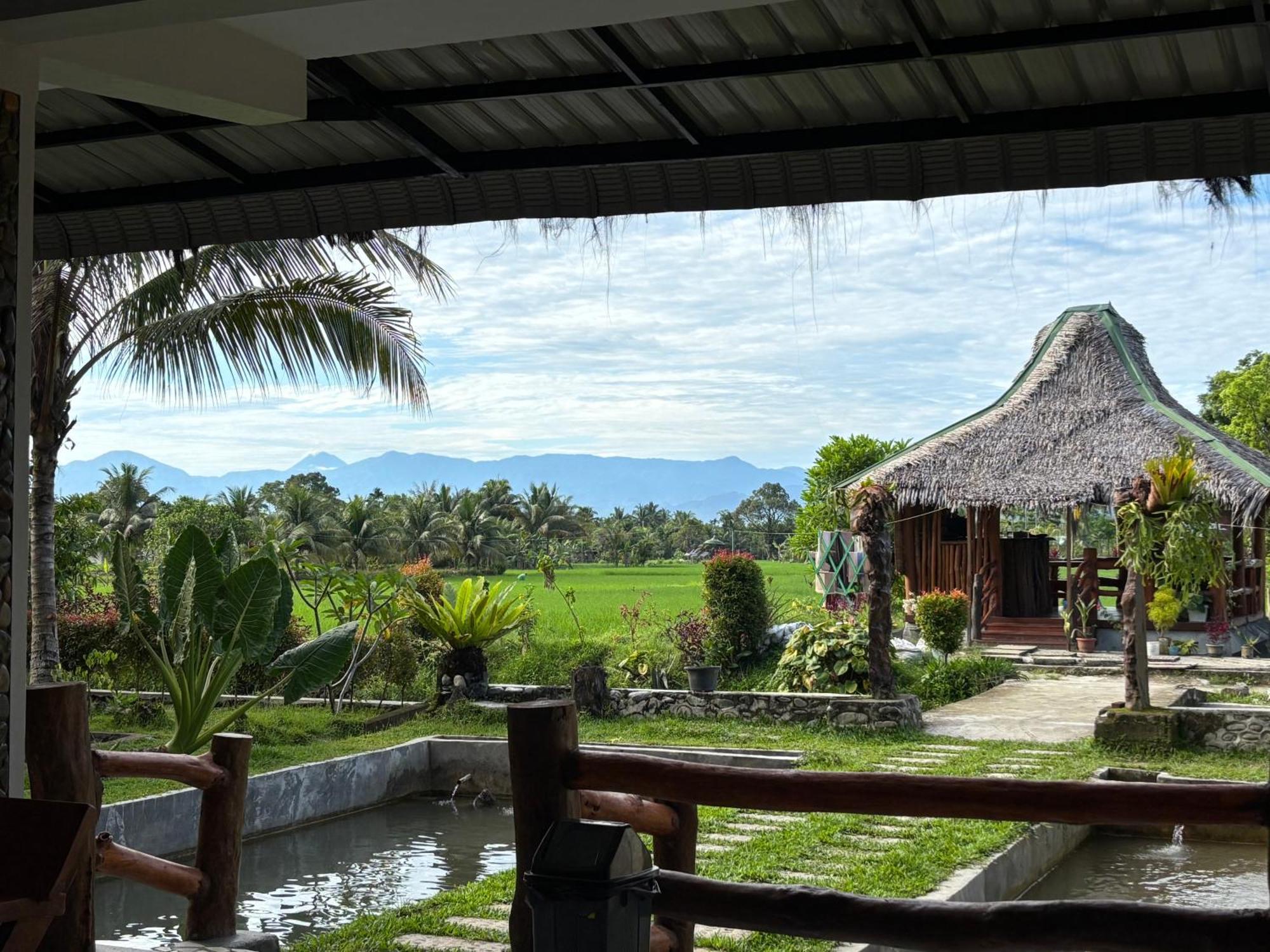 Sumatra Expedition Lodge Bukit Lawang Esterno foto