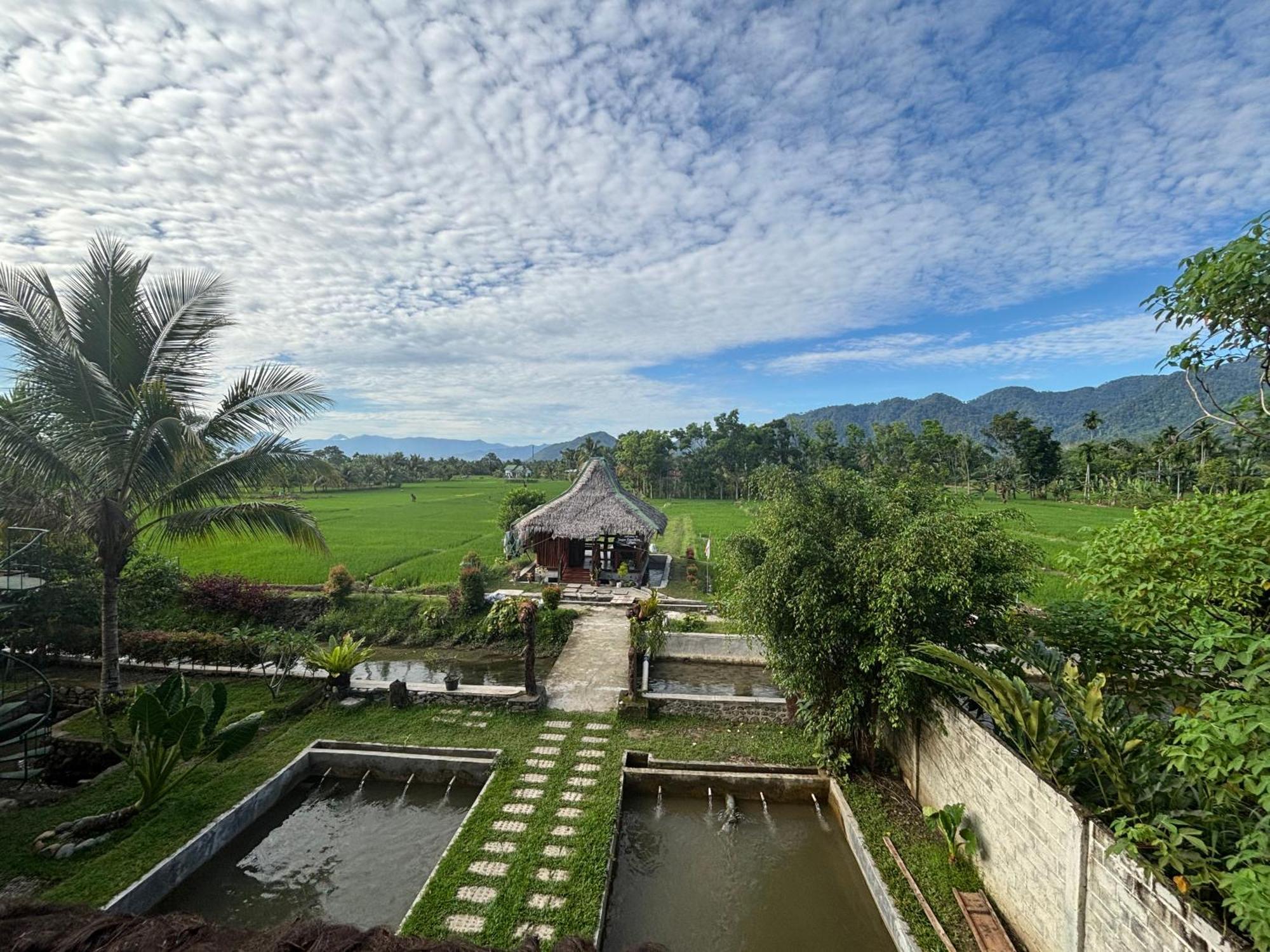 Sumatra Expedition Lodge Bukit Lawang Esterno foto